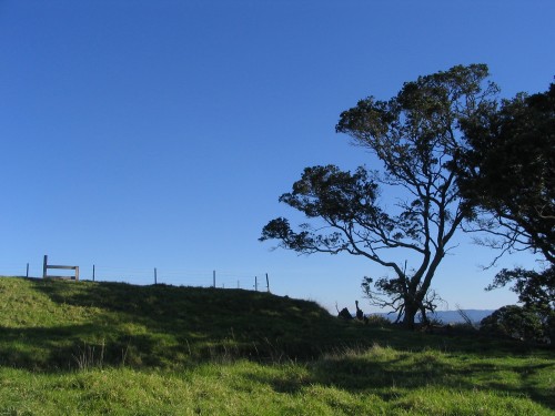 Mt Hobson, Auckland
