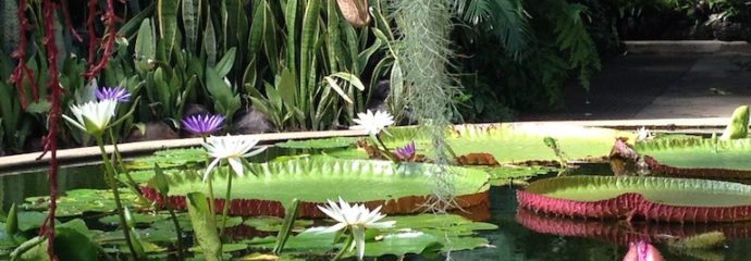 Sensuality, Balance and Spirituality