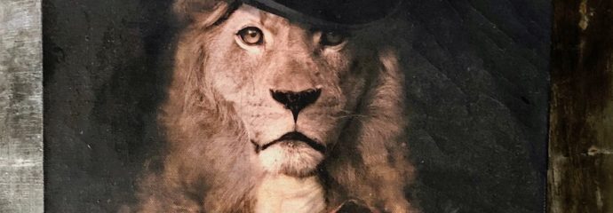 Lazy Cats; Jungle Fish; Quince and Kim Soo