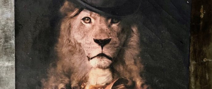 Lazy Cats; Jungle Fish; Quince and Kim Soo