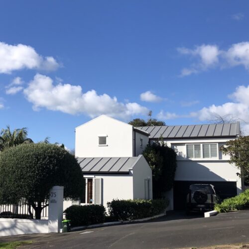 Whites Exterior Paint